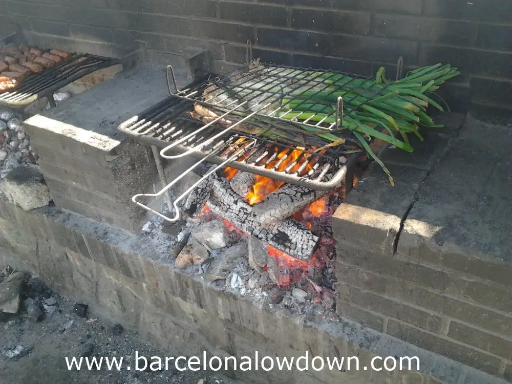 Calçots cooking on a barbecue near barcelona