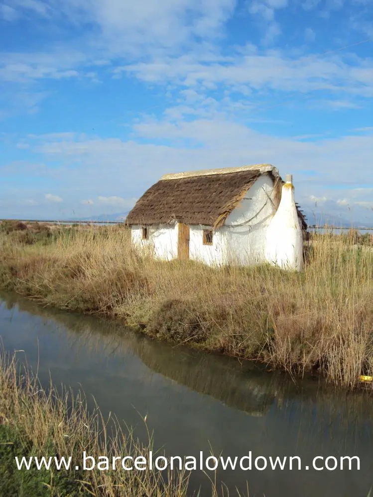 Traditional thatched cottage on the Ebro delta, Spain