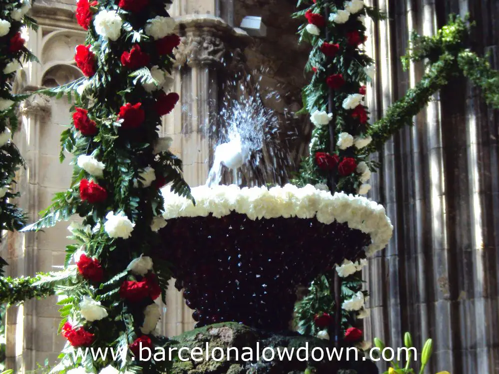 Dancing Egg Number 5 - The Cloisters of Barcelona Cathedral