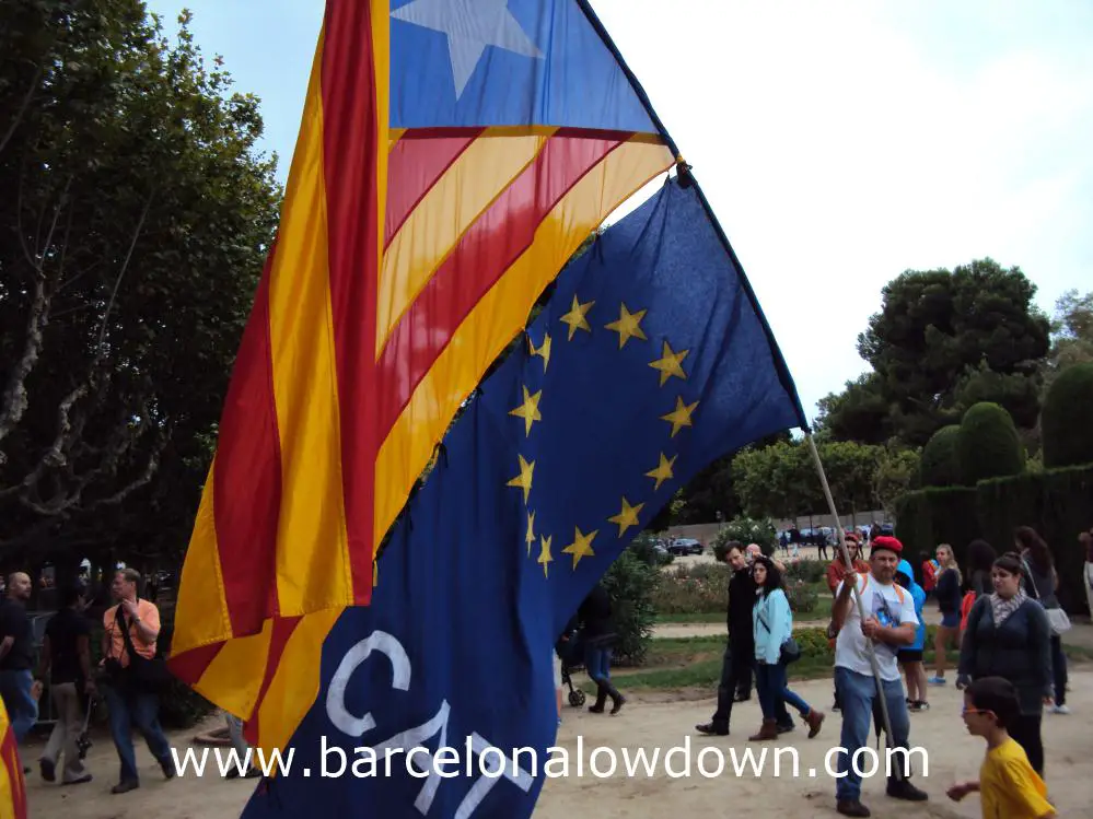 A man waving a giant Catalan indepedence flag in the Ciutadella Park during Catalonias National day (La Diada de Catalunya)