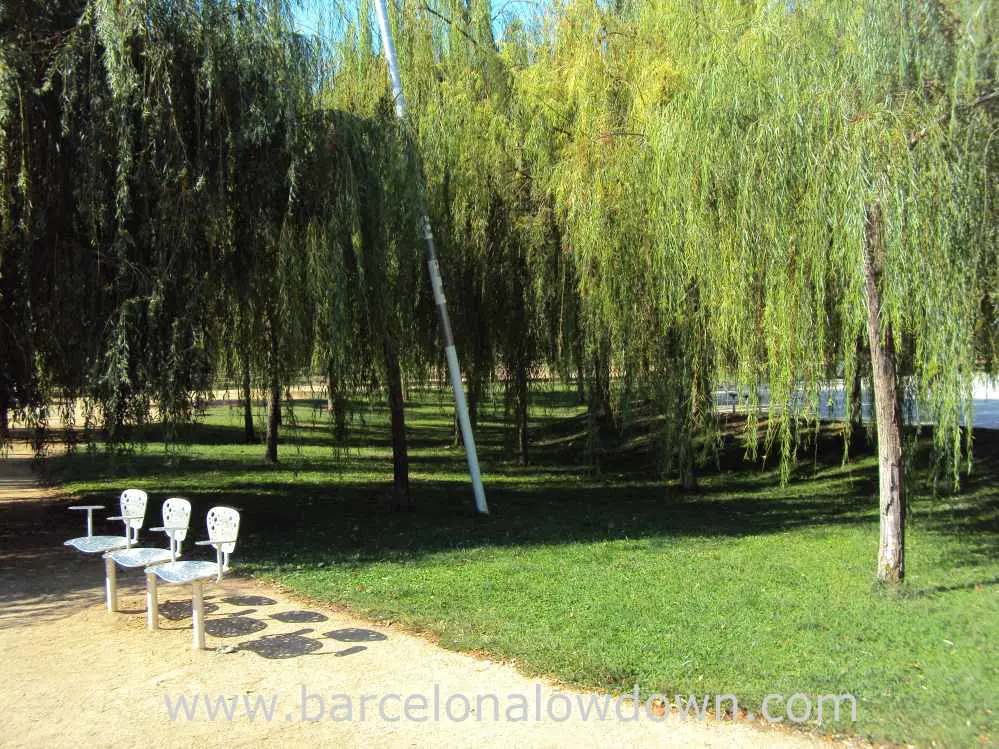 Weeping willows, grass and steel chairs in El Parc del Centre de Poblenou