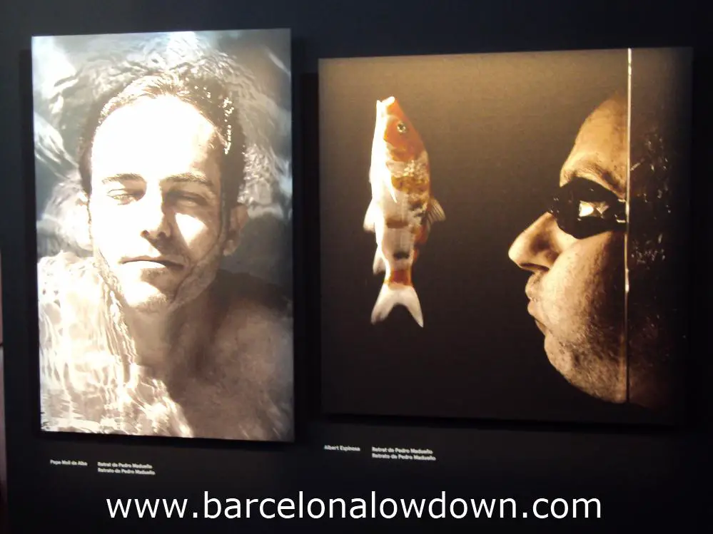 2 Portraits by Spanish artist Pedro Madueño, pert of the Agua, Aguas art exhibition at the Agbar Tower, Barcelona