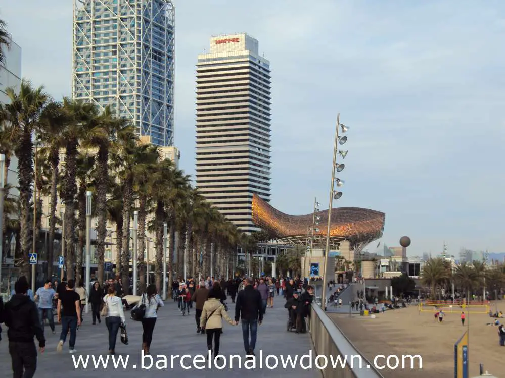 People strolling in winter time, Frank Gehry's fish statue shines golden in the afternoon sunshine. You can also see the emblematic hotel arts and the Mapfre tower.