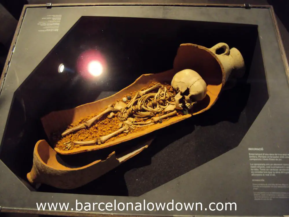 A childs skeleton in an earthenware jar exhibited in the MUHBA museum