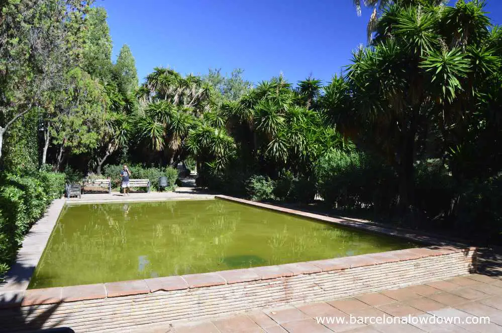 A slightly murky pond surrounded by shady trees in Barcelona