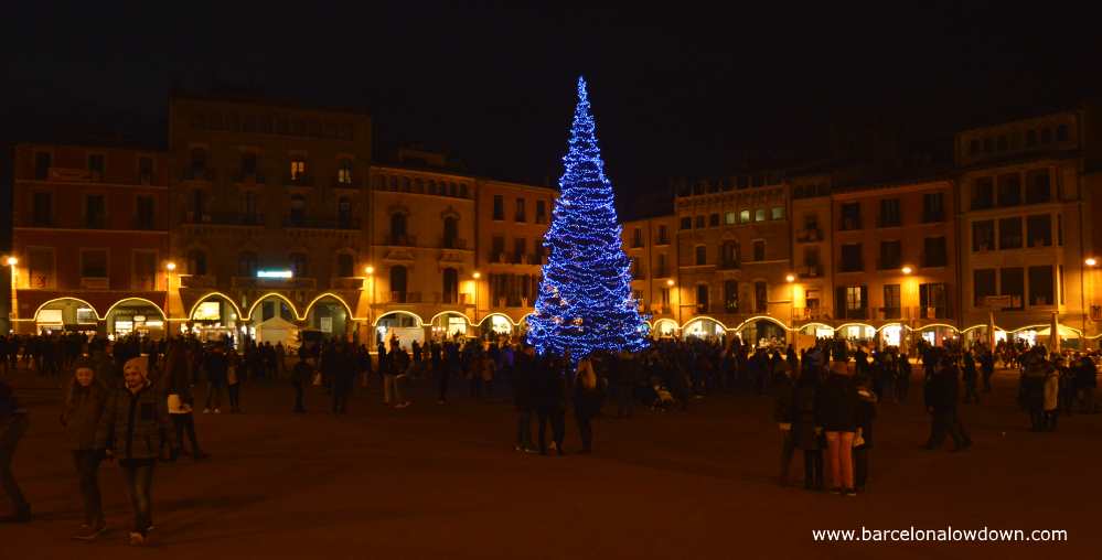 Christmas time in vic, a large christmas tree is the focal point of the city's main plaza