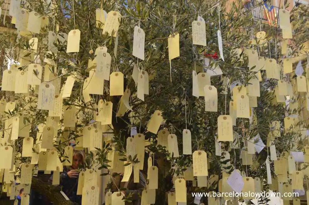 The tree of wishe wheres visitors hang tags on which they have written their wishes