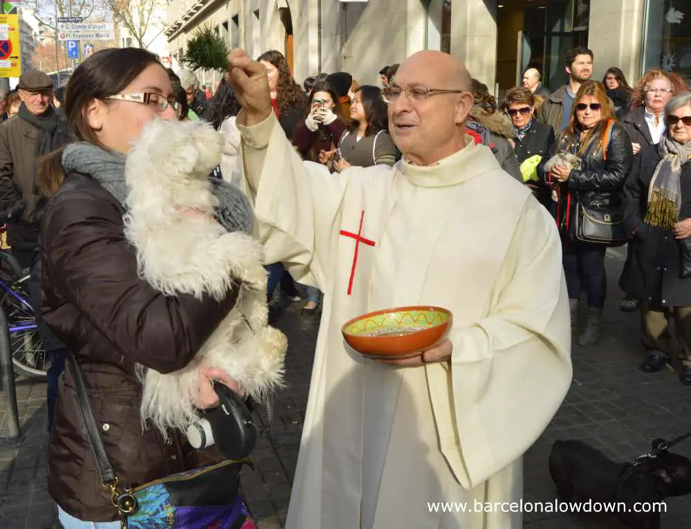 A small dog being blessd by a priest in front of a chrch in Barcelona Spain