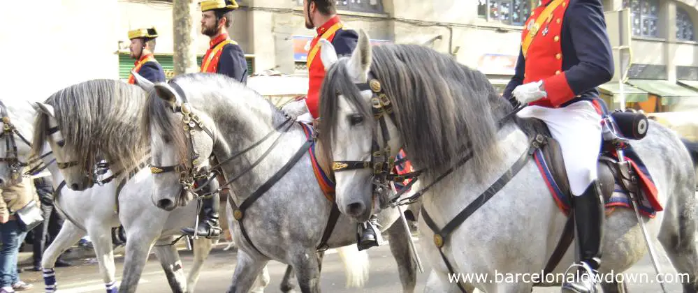 White horses in the anual tres tombs parade Barcelona