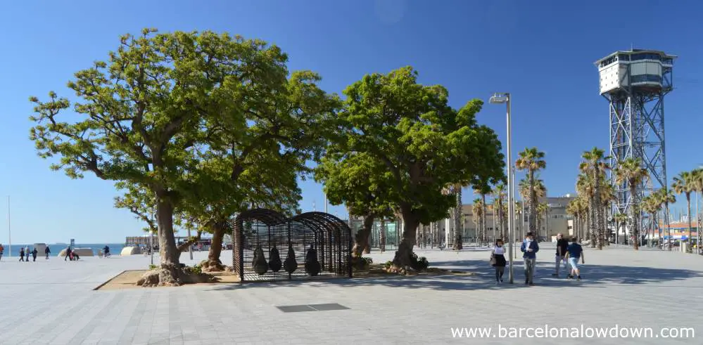 The A Room Were it Always Rains sculpture nestled below 4 olive trees and the Port Cable Car in Barcelona, Spain