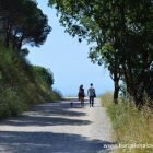 A couple walking their dog on the Carretera de les aigües in the hills of Collserola park overlooking Barcelona