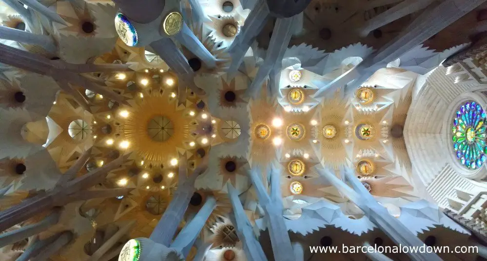 The ceiling of the Sagrada Familia and the tree like columns which support it