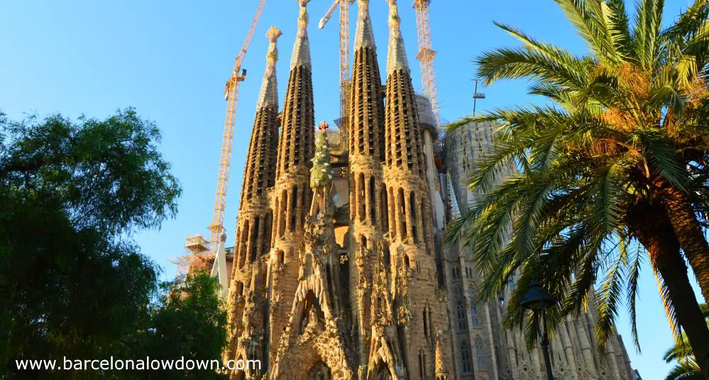 The nativity façade of Antoni Gaudi's Sagrada Familia Basilica in Barcelona bathed in early morning sunlight. This photo was taken from a park and there are trees and a palm tree in the foreground.