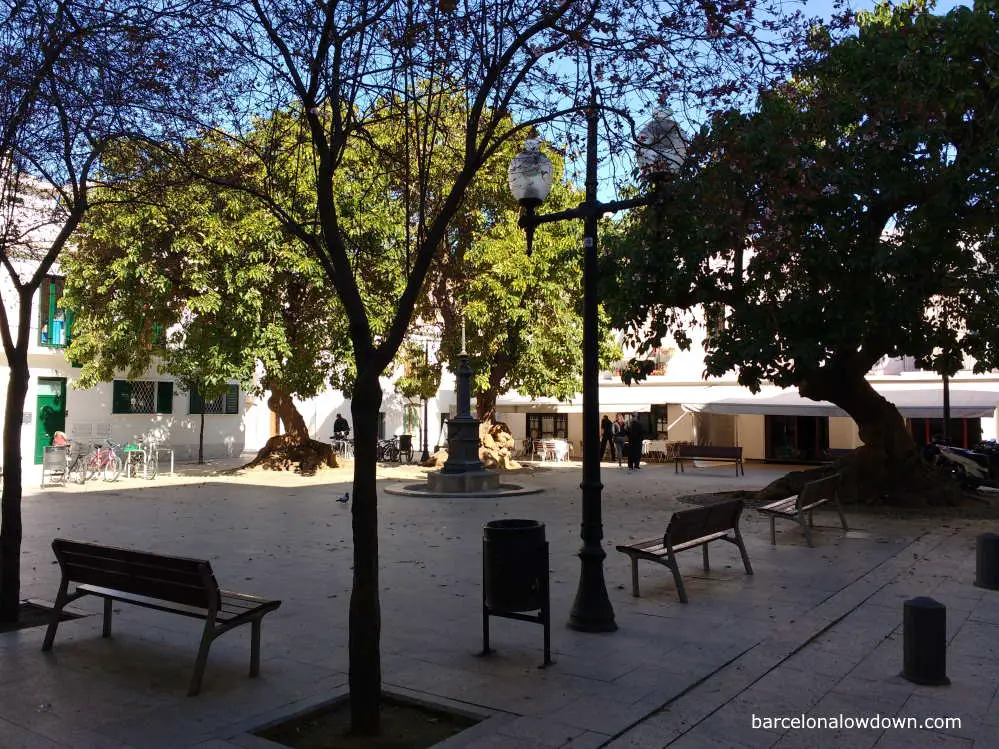 Shady trees in Prim square in Barcelona's Poblenou neighbourhood.