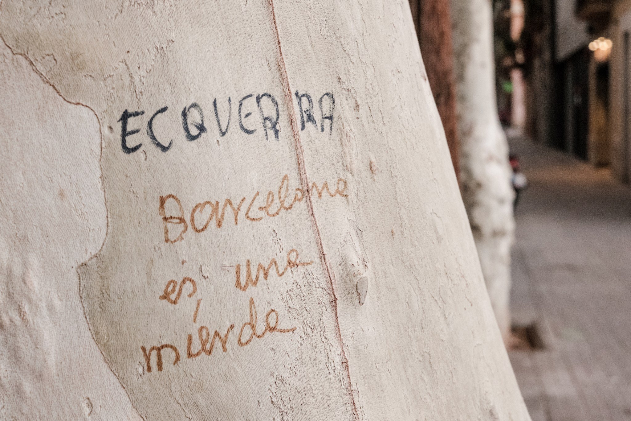 Graffiti scrawled on a tree in Barcelona