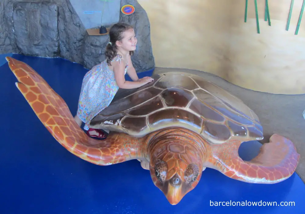 A child having fun in Barcelona Aquarium