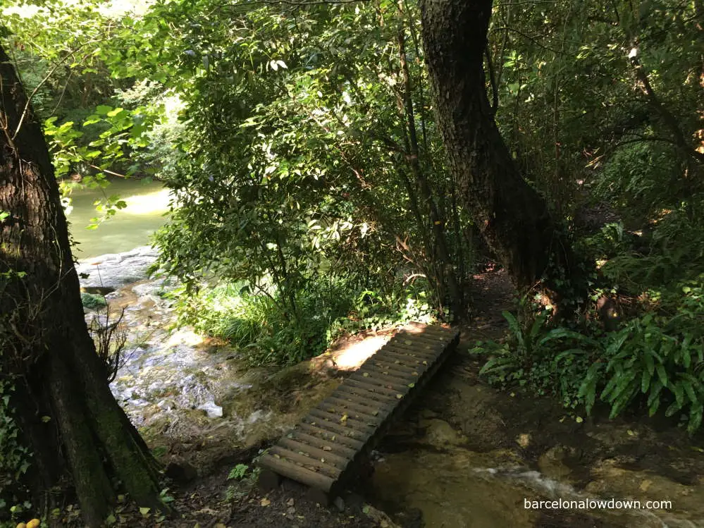 A small woodein bridge over a stream on route to the Gorg de la Plana