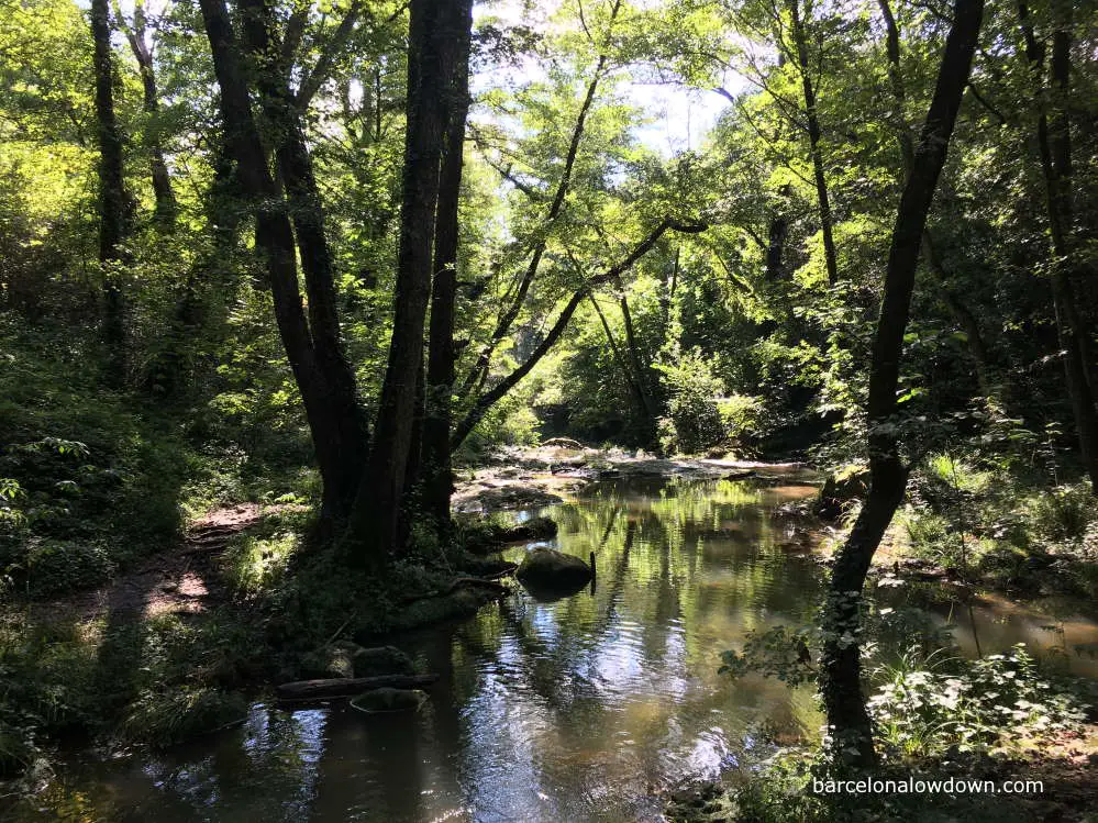 trees either side of a small river in th e La Garrotxa Volcanic Zone nature reserve