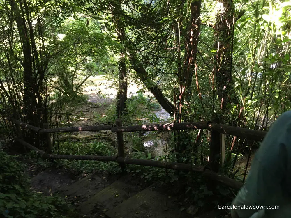 Muddy wooden steps through the woods leading down to the river