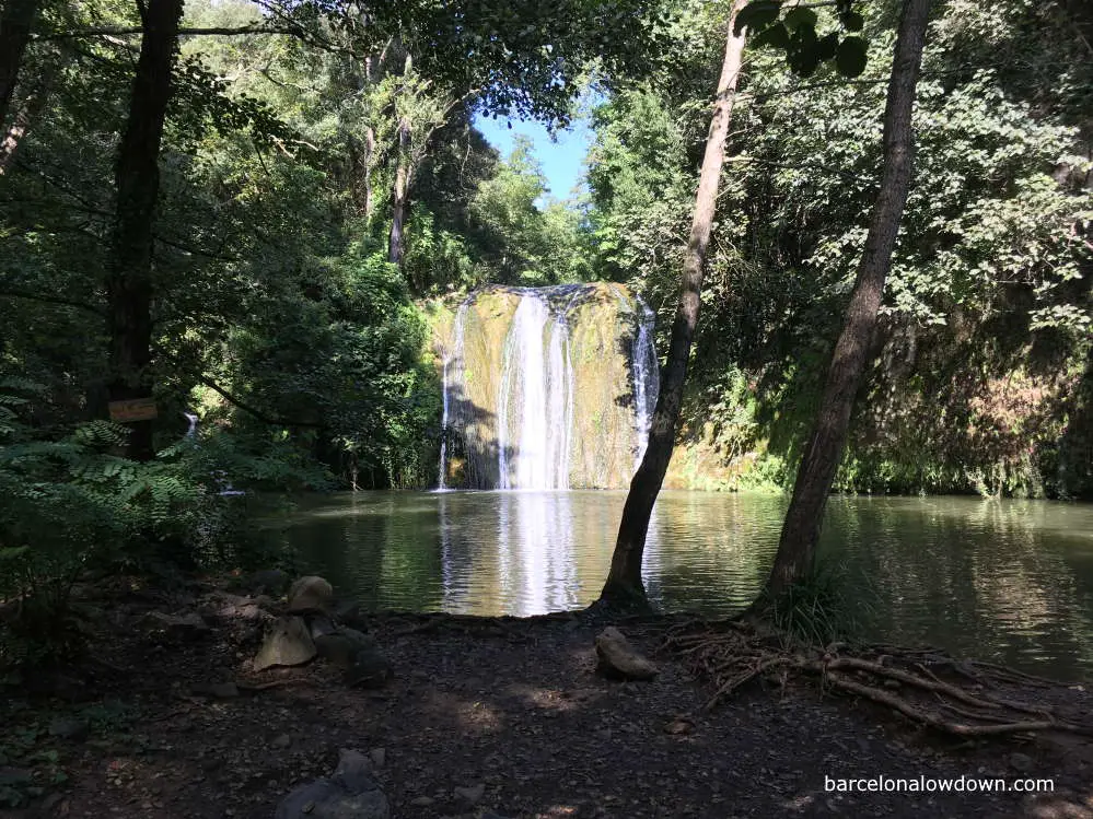 Waterfalls surrounded by trees in the Gorg de la Plana, Spain