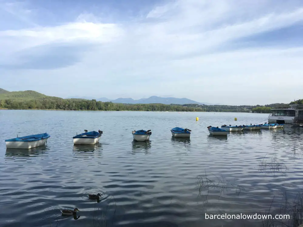 Rowing boats and ducks on the lake at Banyoles, Spain
