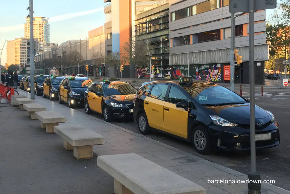A line of black and yellow Barcelona taxis