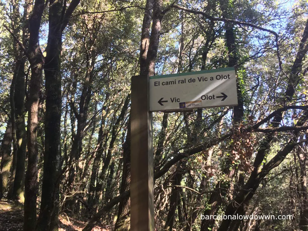 Trail markrs in the forest near Olot