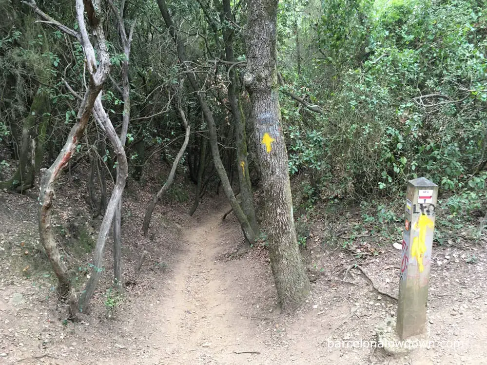 Yellow arrows mark The Camino on the way from Barcelona to Sant Cugat
