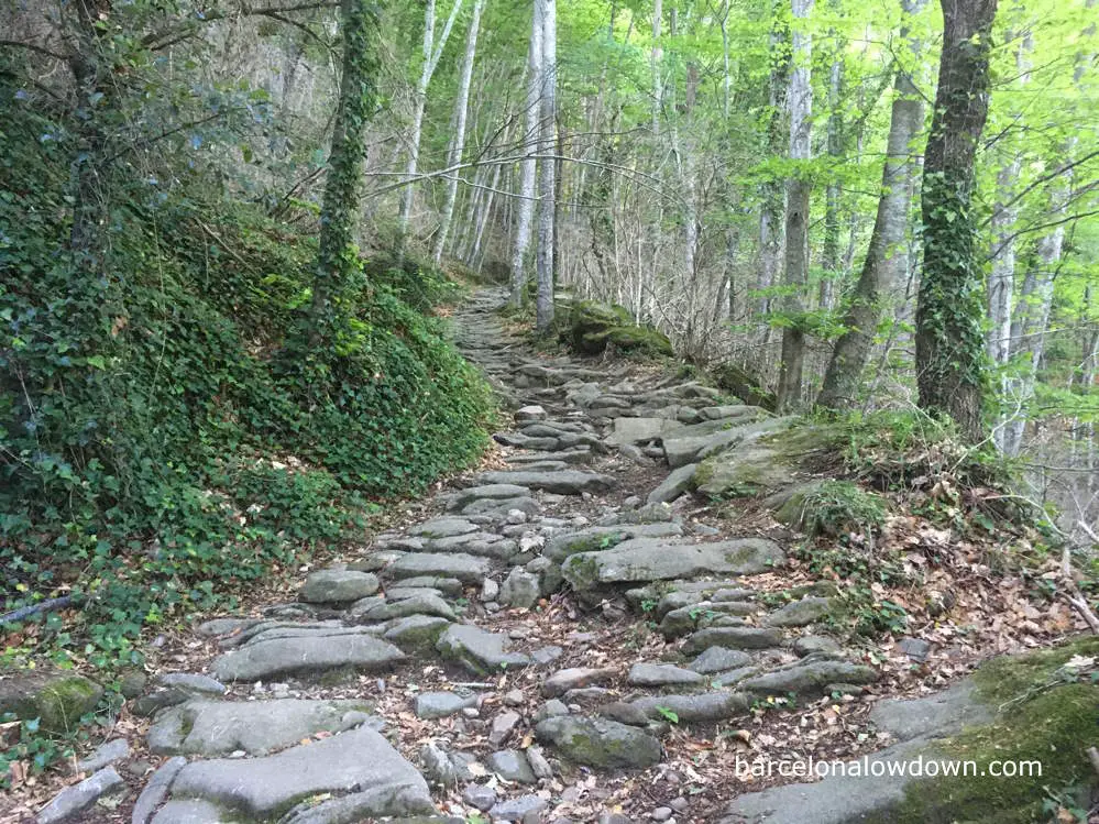 Medieval stone footpath through the forest in Northern Spain