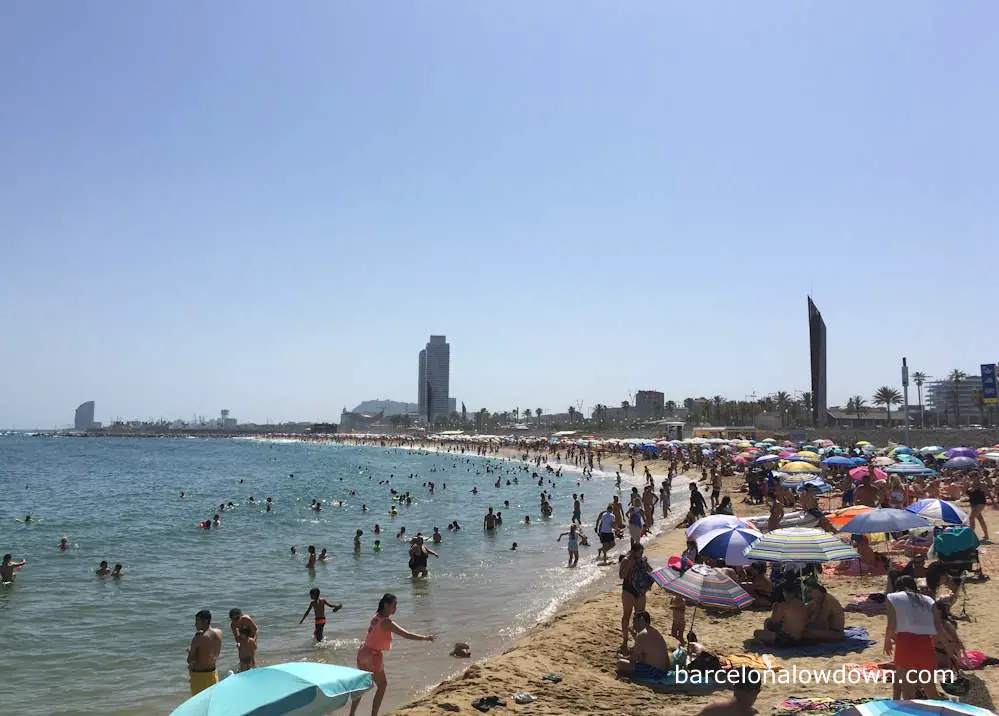 Beach umbrellas in Barcelona