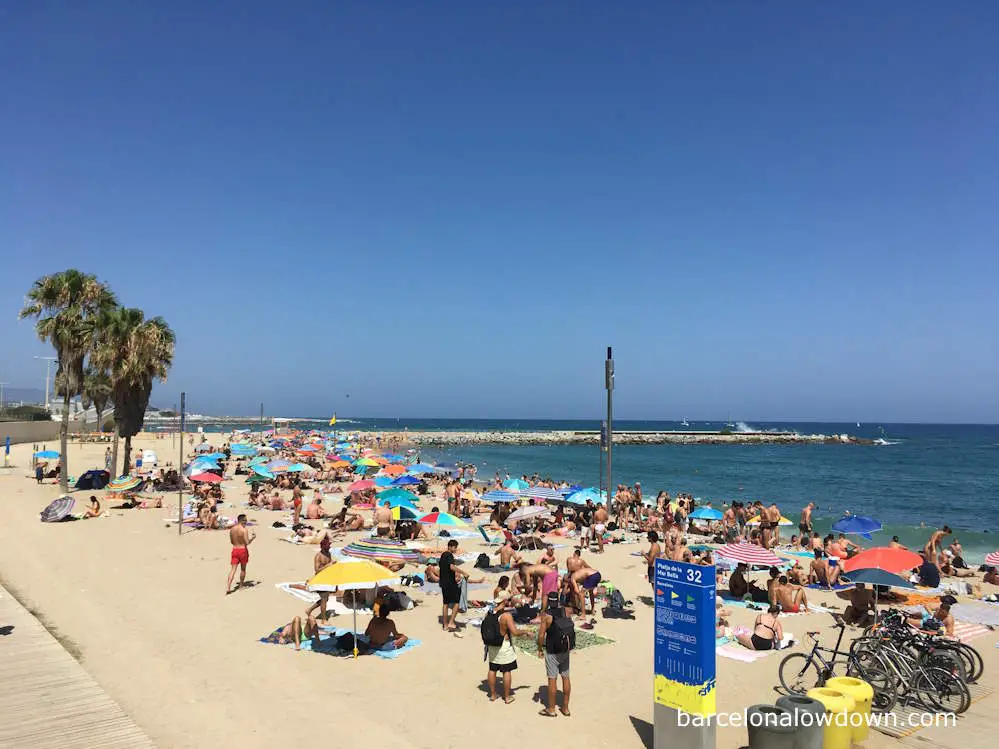 Sunbathers with beach umbrellas next to a palm tree on Barcelona's beaches